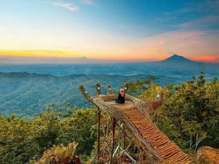 Hutan Pinus Pengger Yogyakarta