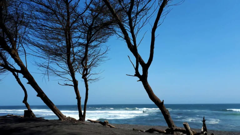 Pantai Goa Cemara Yogyakarta