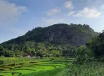 Gunung Api Purba Nglanggeran Yogyakarta