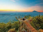 Hutan Pinus Pengger Yogyakarta