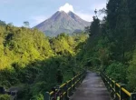 Plunyon Kalikuning Yogyakarta