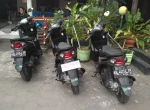 Transip Sewa Motor